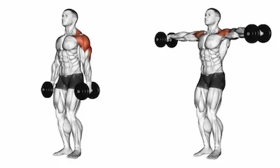 Standing lat raise hotsell